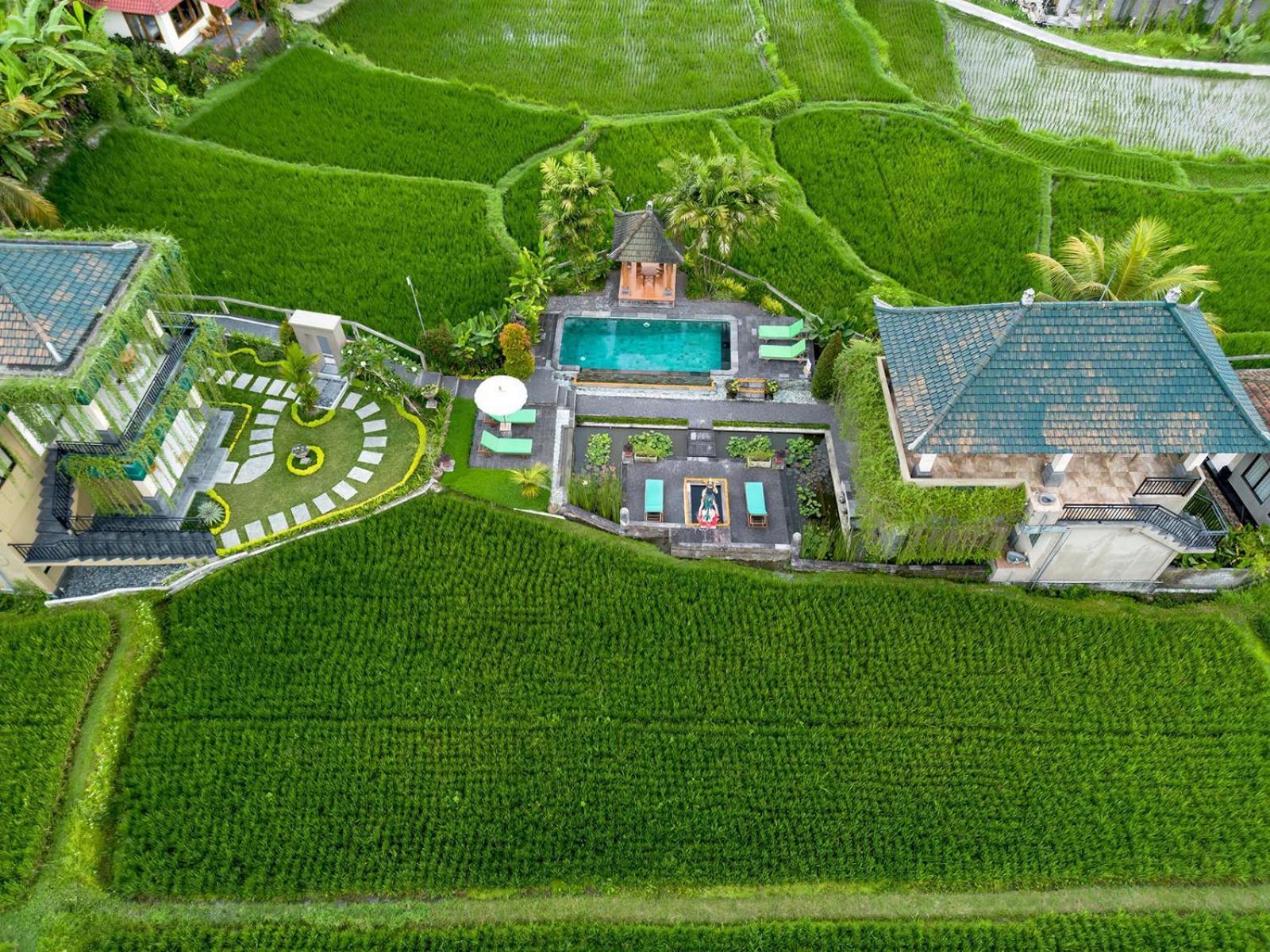 Cahaya Ubud Villa Exterior foto